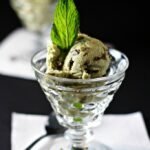 mint chocolate chip ice cream vegan gluten free best recipe