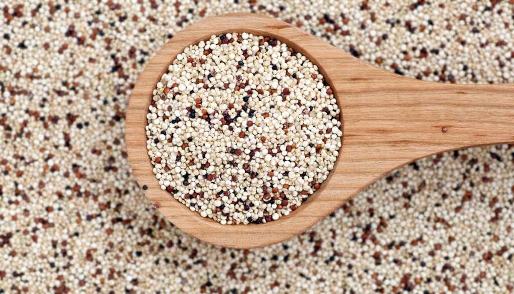 quinoa and weight loss