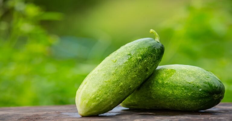 Is a Cucumber a Fruit or Vegetable