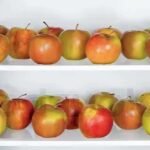 How Long Do Apples Last in the Fridge