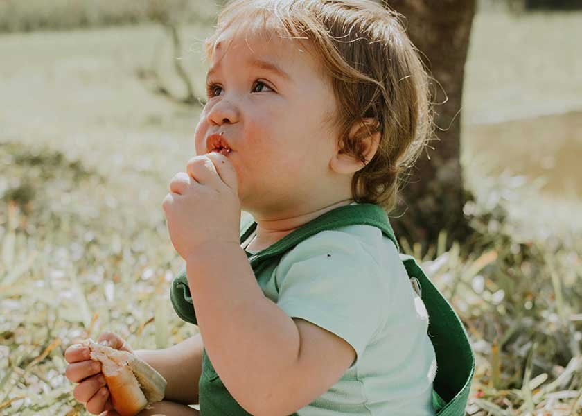 Toddler eating bread